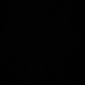 Meet your Posher, Kyra